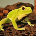 黏舌攀登/Stick Tongue