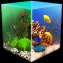 玻璃背后：水族馆模拟器/Behind Glass: Aquarium Simulator