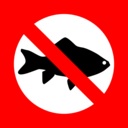 咸鱼翻身/Fish Hero