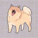 挤在一起的狗狗们/Dogs Huddled Together