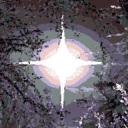 卡瑞玛拉：枯肢之下/CARIMARA: Beneath the forlorn limbs