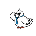 鸽亿分钟/Dove Days : Time Flies