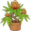 大麻种植伙伴/GrowBud