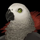 暗黑拍卖/Dark Auction